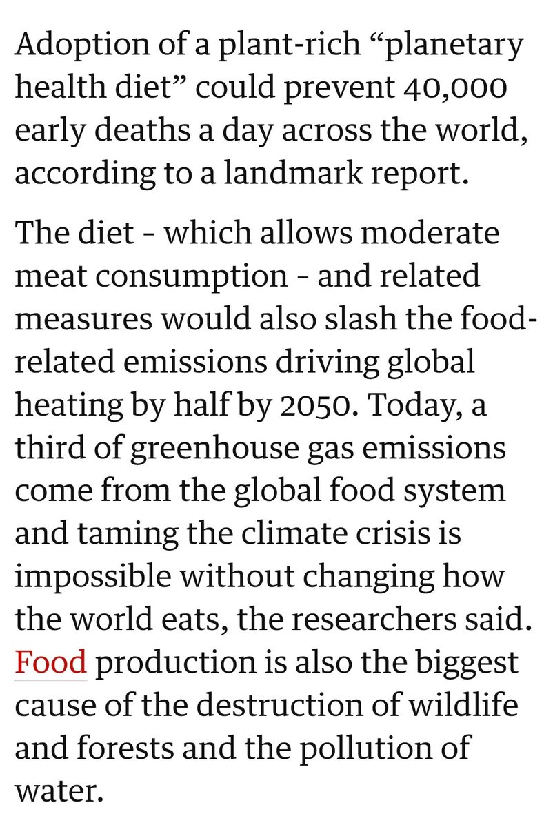 Stefan Krauter tweet media