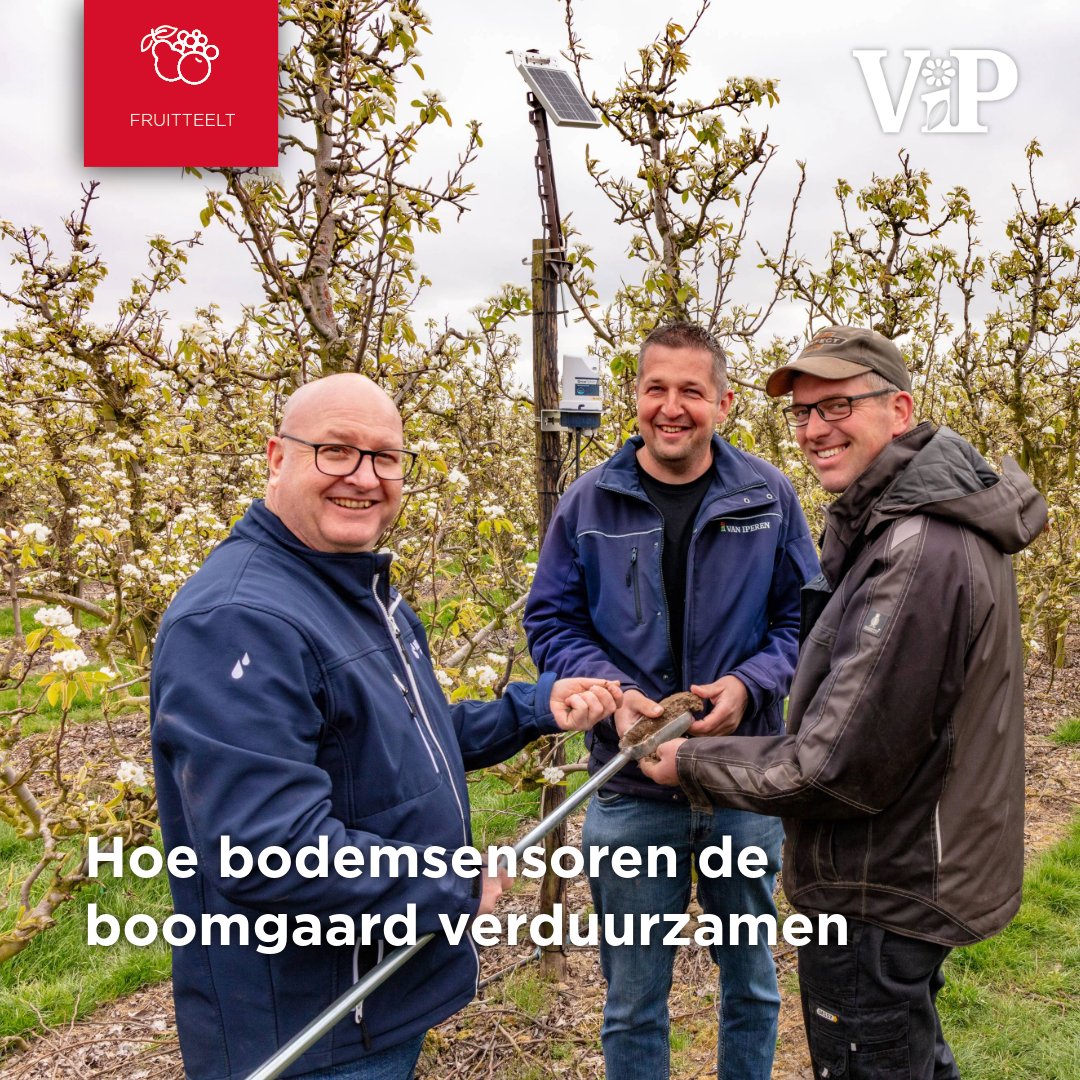 Water wordt steeds kostbaarder. In Zuid-Beveland doen fruittelers, op initiatief van Van Iperen en Netafim Netherlands, mee aan een pilot om irrigatie slimmer en duurzamer te maken. 

Lees het volledige verhaal in ons magazine ViP of op onze website!
iperen.com/kennis-nieuws/…