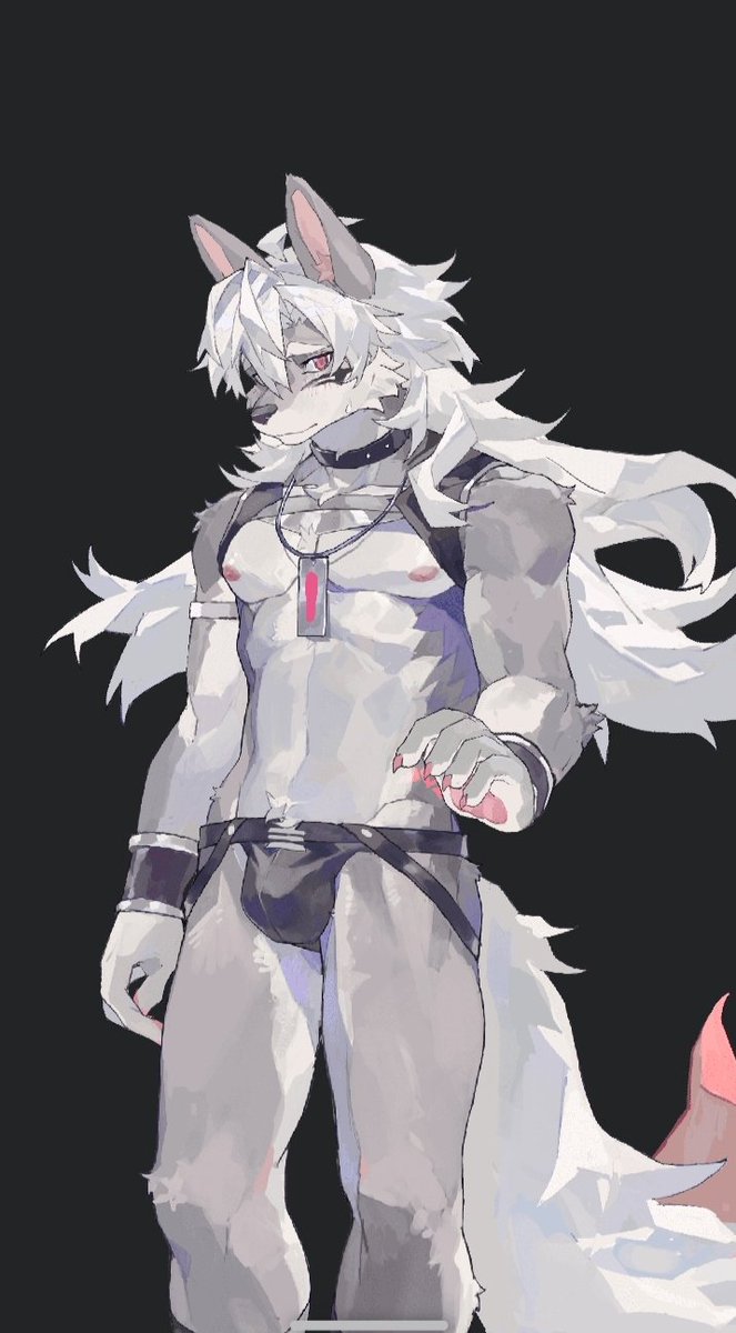 小漠🐾 tweet media