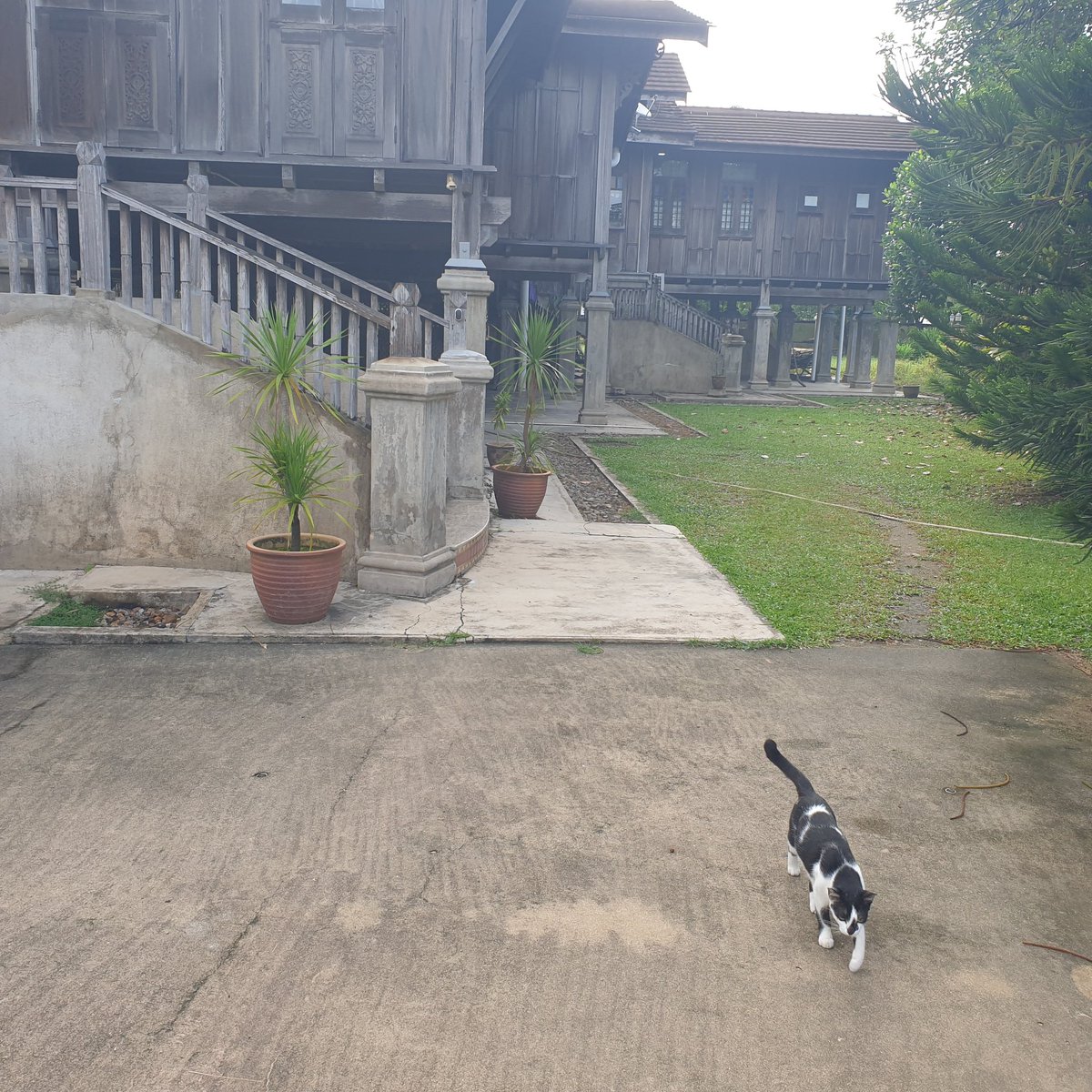 TERENGGANU. A few Images. KT was packed over the weekend with bikers and tourists. People just Ate and Ate. Good Food at Decent Prices.