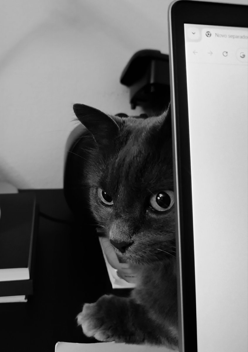 Esconde-se na expectativa de que me esqueça da sua irrequietude e lhe permita assistir às incontáveis reuniões que me são servidas através do ainda mais pequeno ecrã.