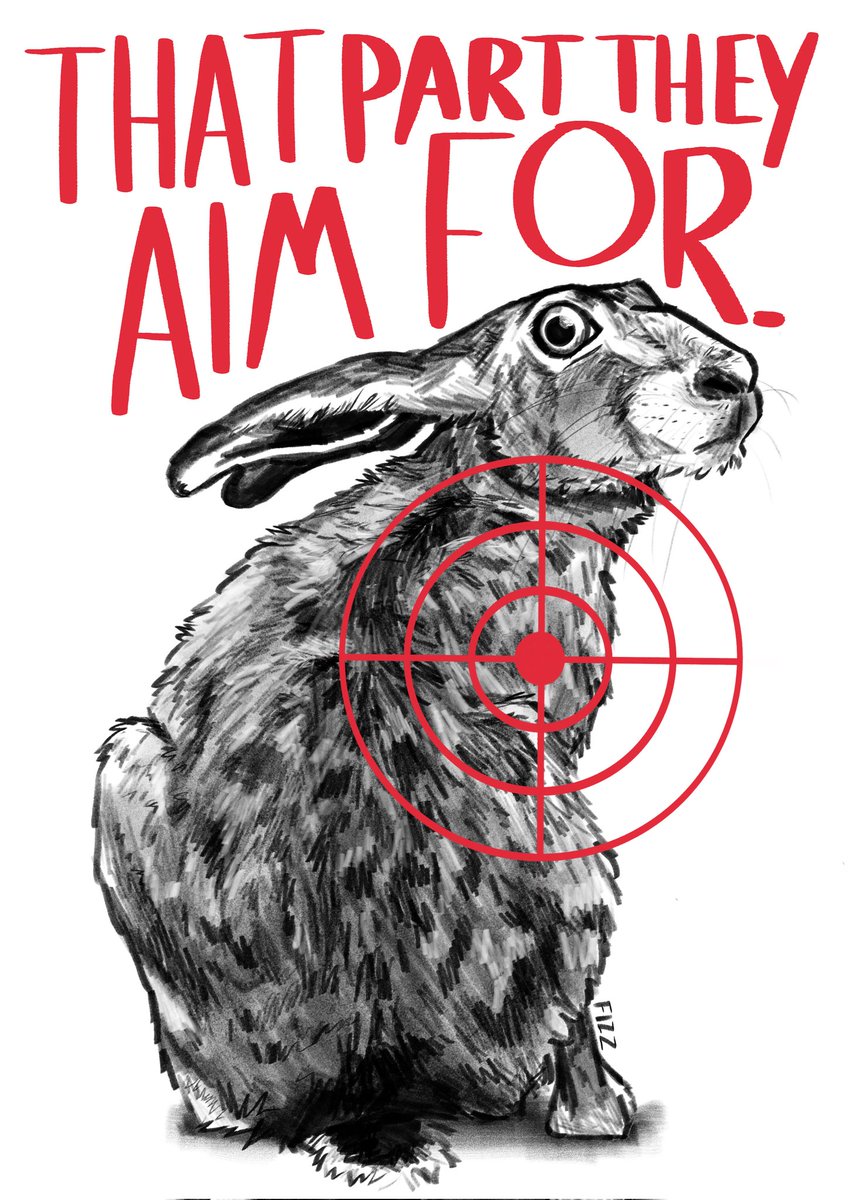 fizz 🐸 tweet media