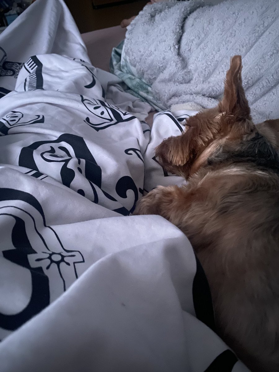 Best bit about getting home from holiday