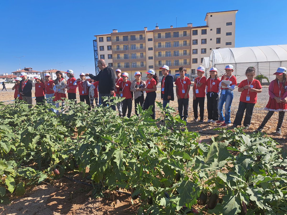 öğrencilerinin katılımıyla gerçekleştirildi.

Bu yılın teması olarak belirlenen "Uluslararası Kooperatifler Yılı" çerçevesinde hazırlanan kamp boyunca öğrenciler; tarımsal üretim alanlarını ziyaret ederek, kooperatiflerin işleyişini öğrendi ve çeşitli atölye çalışmalarıyla