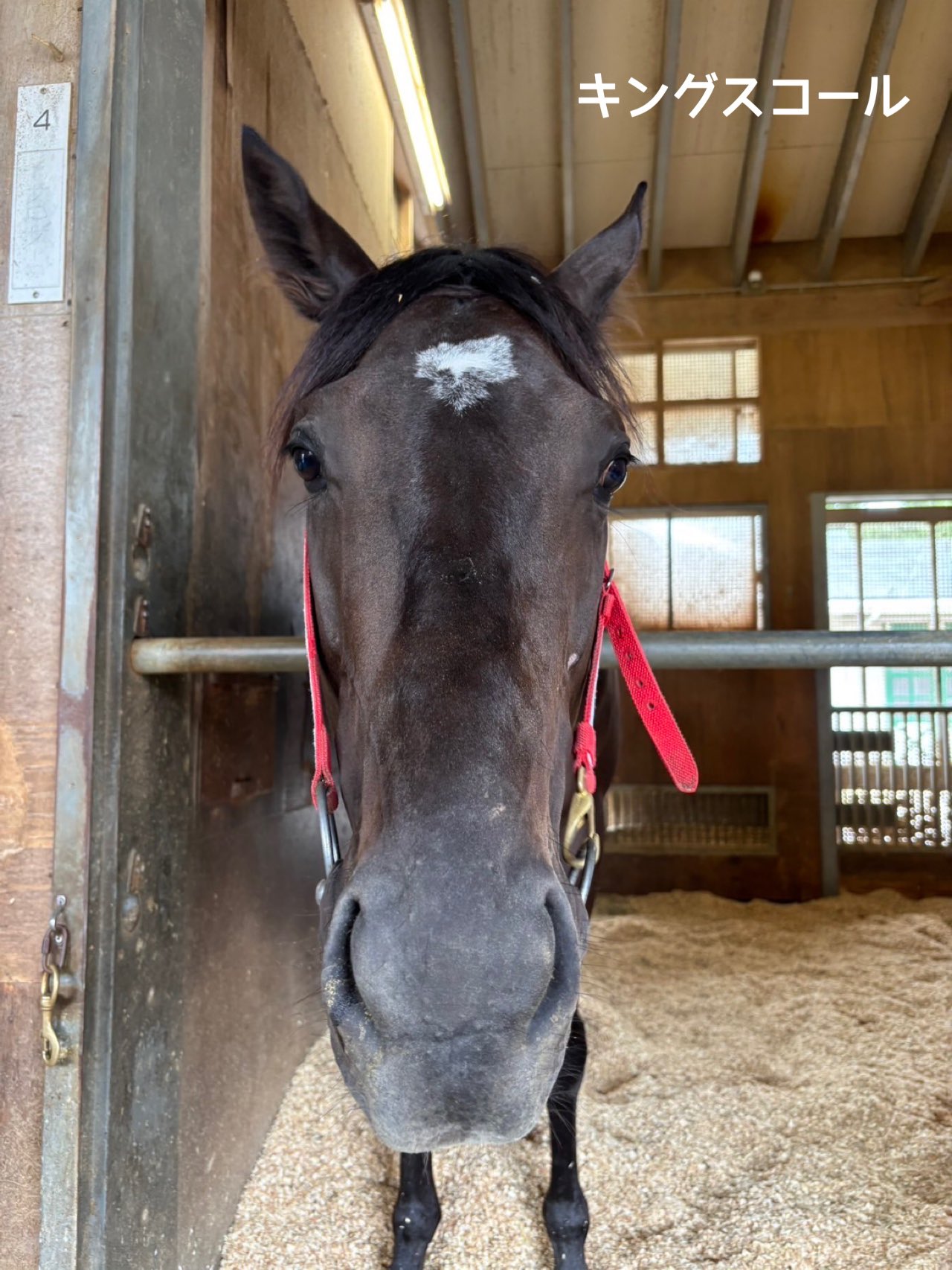 ごまこ (@manap18112) / X