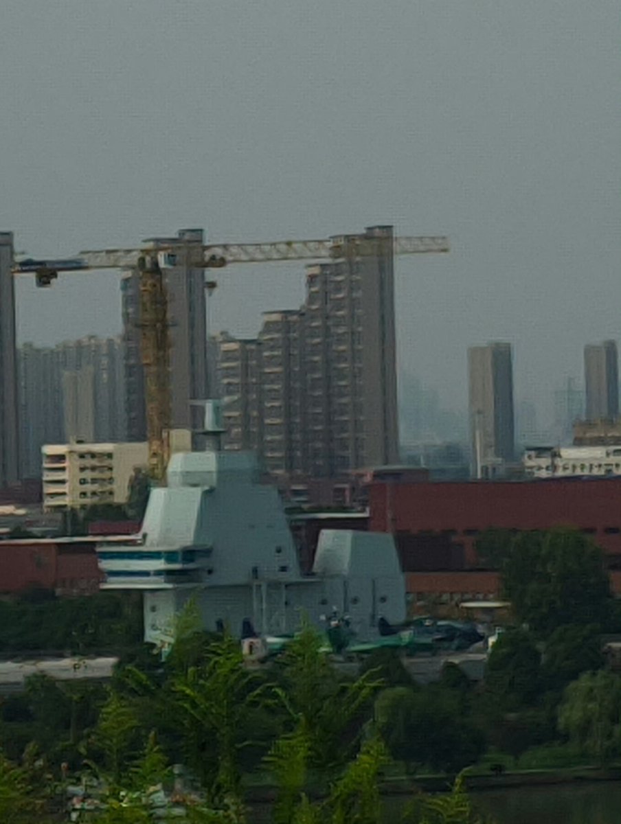 理智π tweet media