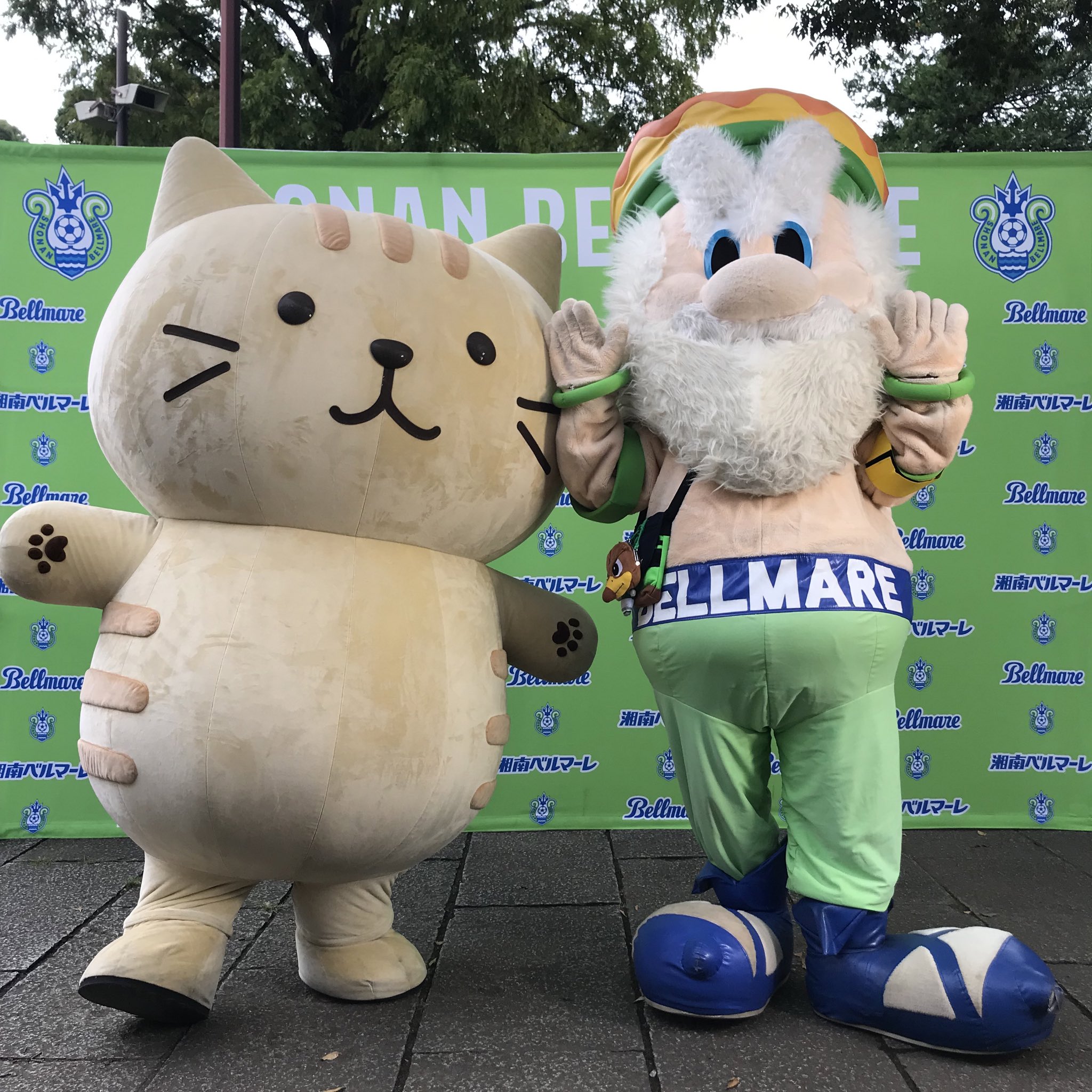Fuku Fuku Nyanko(ふくふくにゃんこ) on X: 
