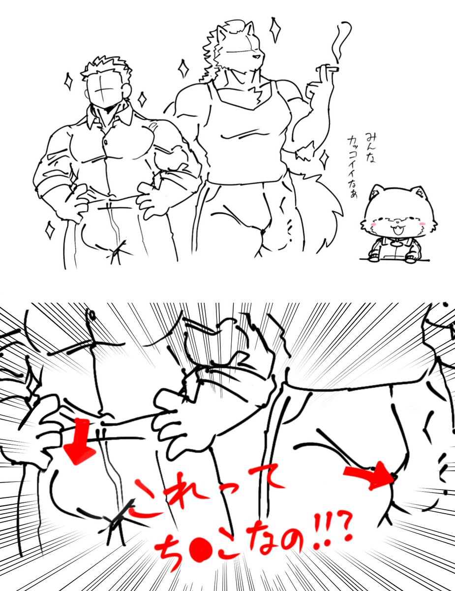 この界隈に来て一番衝撃的だったこと(割と最近まで「何この膨らみ？🤔」と思っていた)