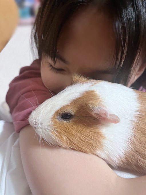 Twitterのコスプレ画像8