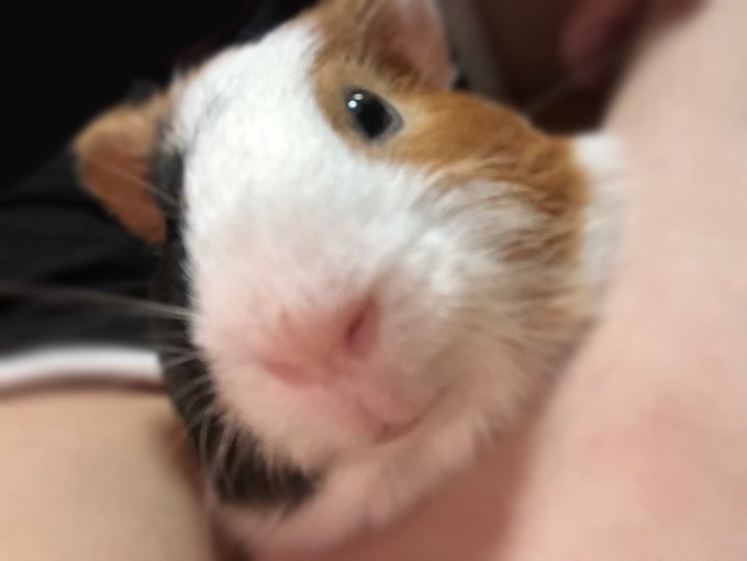 Twitterのコスプレ画像7