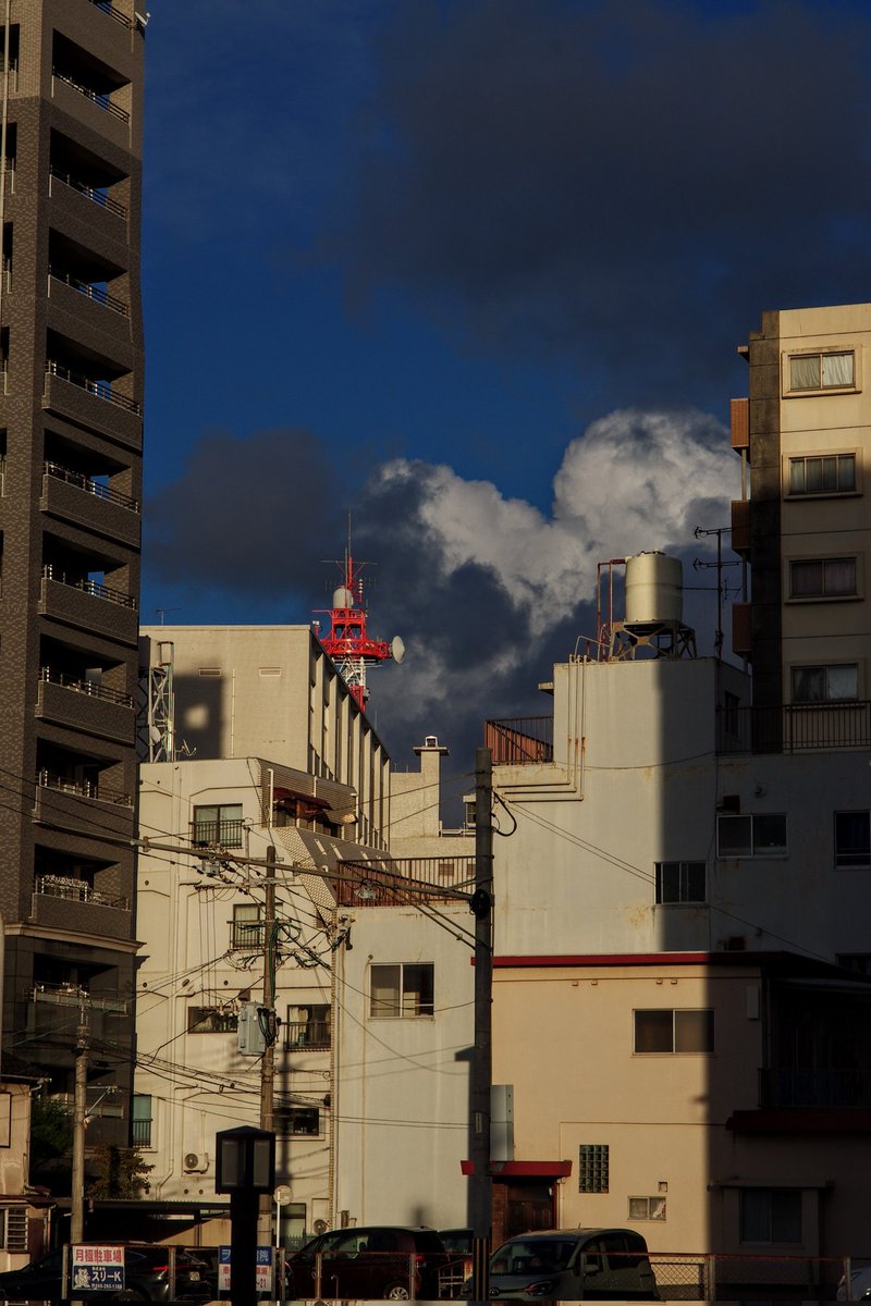 Yoshizo (@huerumegane) on Twitter photo 