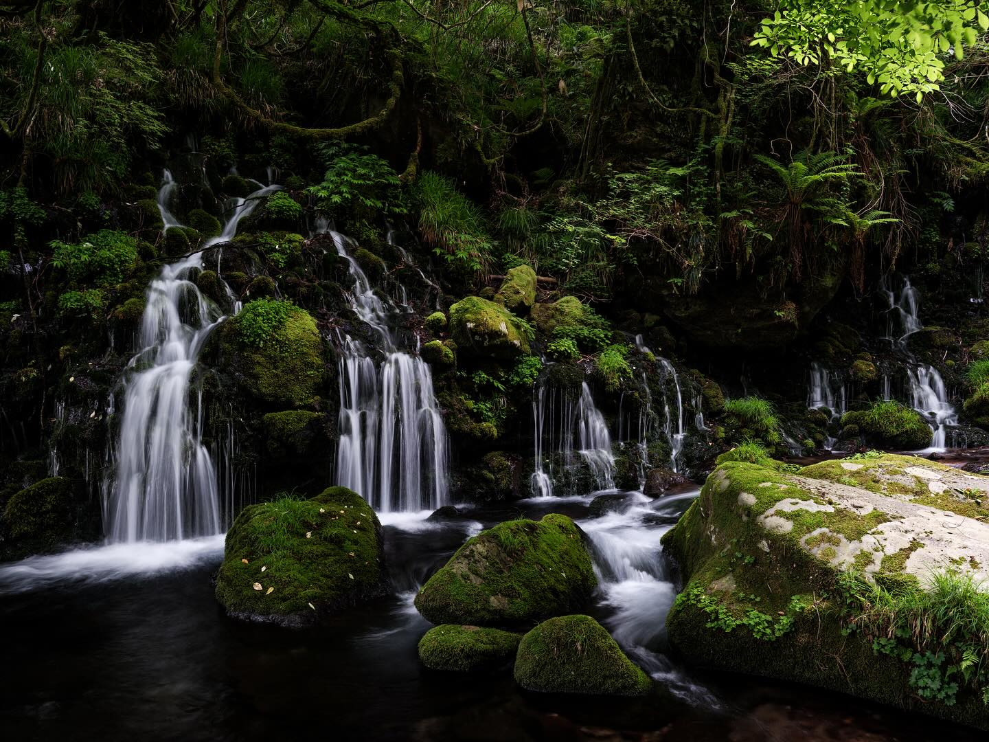 FUJIFILMXseriesJapan (@FujifilmJP_X) / X