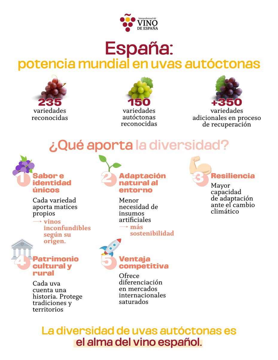 🍇 España cuenta con 235 variedades de uva reconocidas, ¡y más de 150 son autóctonas!

🔬 Y existen otras 350 por recuperar.

🌄 En nuestro país, cada región vinícola tiene un carácter único gracias a su clima, su altitud y su historia.

#VinoDeEspaña #UvasAutóctonas