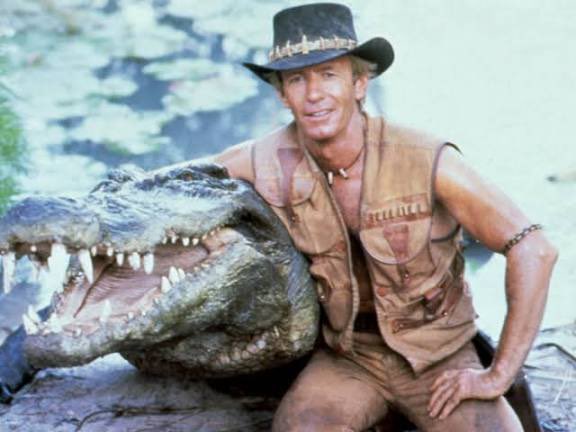 It’s time to send Mick ‘Ange’ Dundee back to the outback!!

Get him out of our club, he has stunk the place out, the club is rotten, all of the enjoyment has drained away 😩

#AngeOut #Shambles <a href="/NFFC/">Nottingham Forest</a>