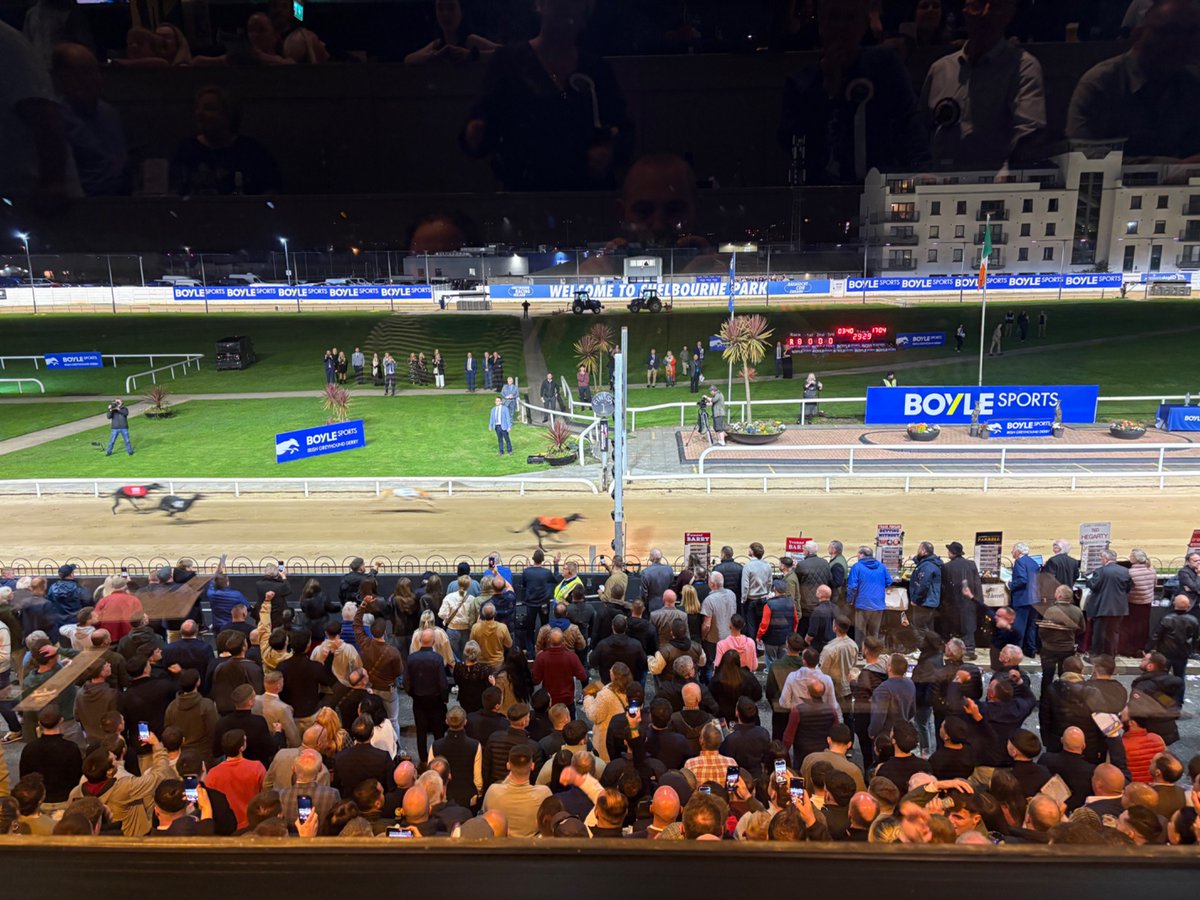 First visit to <a href="/shelbournepark/">Shelbourne Park Greyhound Stadium</a>, best seats in the house and a cracking race 🥪