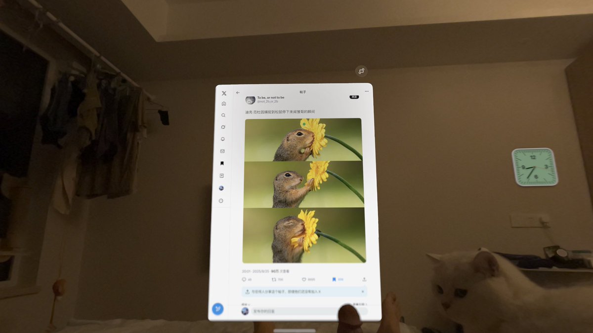 野生肥牛卷 tweet media