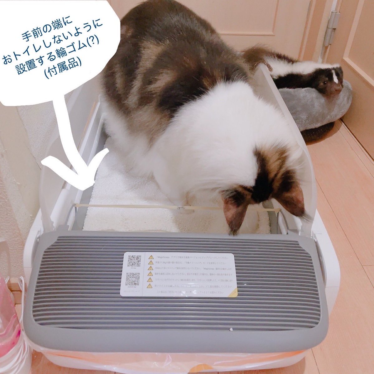 購入前に連絡下さい★猫飼ってます•*¨*•.¸♬︎ 反省文掲げた猫シリーズ…