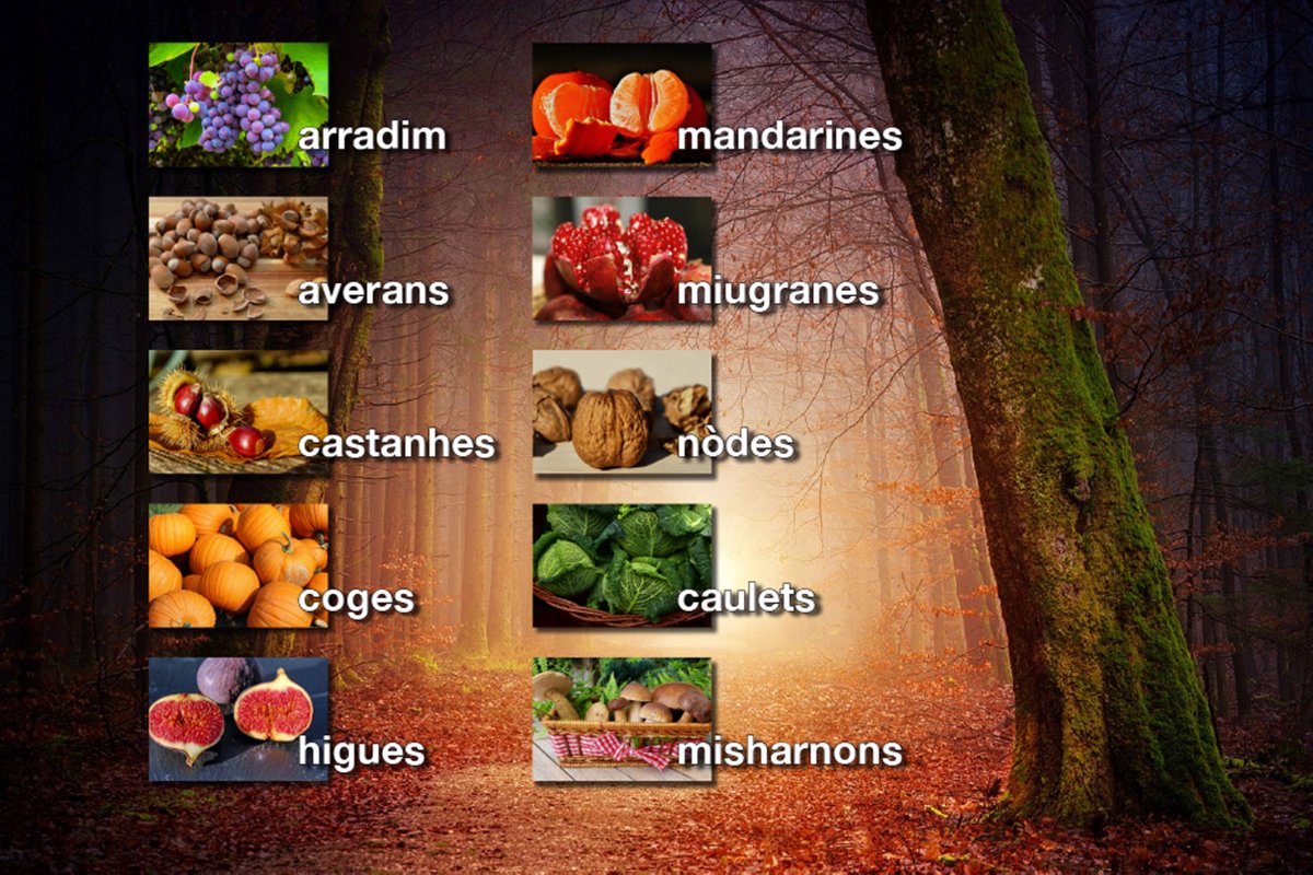 🍂🌰 Era sason arribe cargada de sabors. Quini son es vòsti fruts de tardor que mès vos agraden?