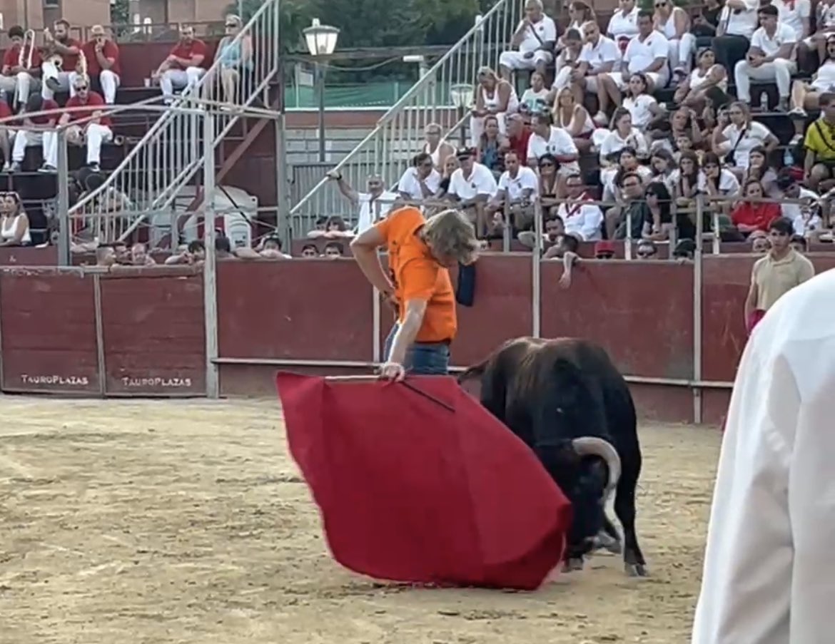 Podrá ser el año que viene? 🦫⚡️