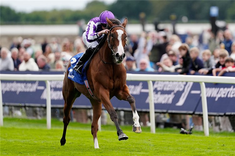 _WolfTips's tweet image. 💰FREE BET GIVEAWAY! 💰

We’re giving away a £50 Free Bet to use on the Prix de l’Arc de Triomphe at Longchamp on Sunday!

To Enter:

1. Like 
2. Retweet 
3. Follow @_WolfTips 

The winner will be announced on Sunday morning. Good luck all!