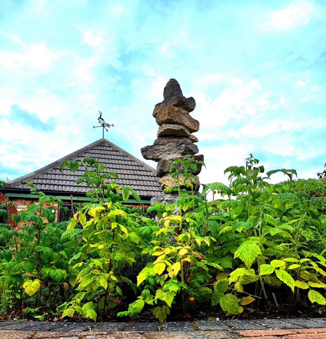 Time to cut back retreat berry and herb circle for spring ☀️
We hope you all enjoyed this years selection 🍓🫐 🌿
#winteriscoming #autumnvibes #greatplacestovisit #BerryLovers #herbalife #herbs #soulfood #sweetmoments