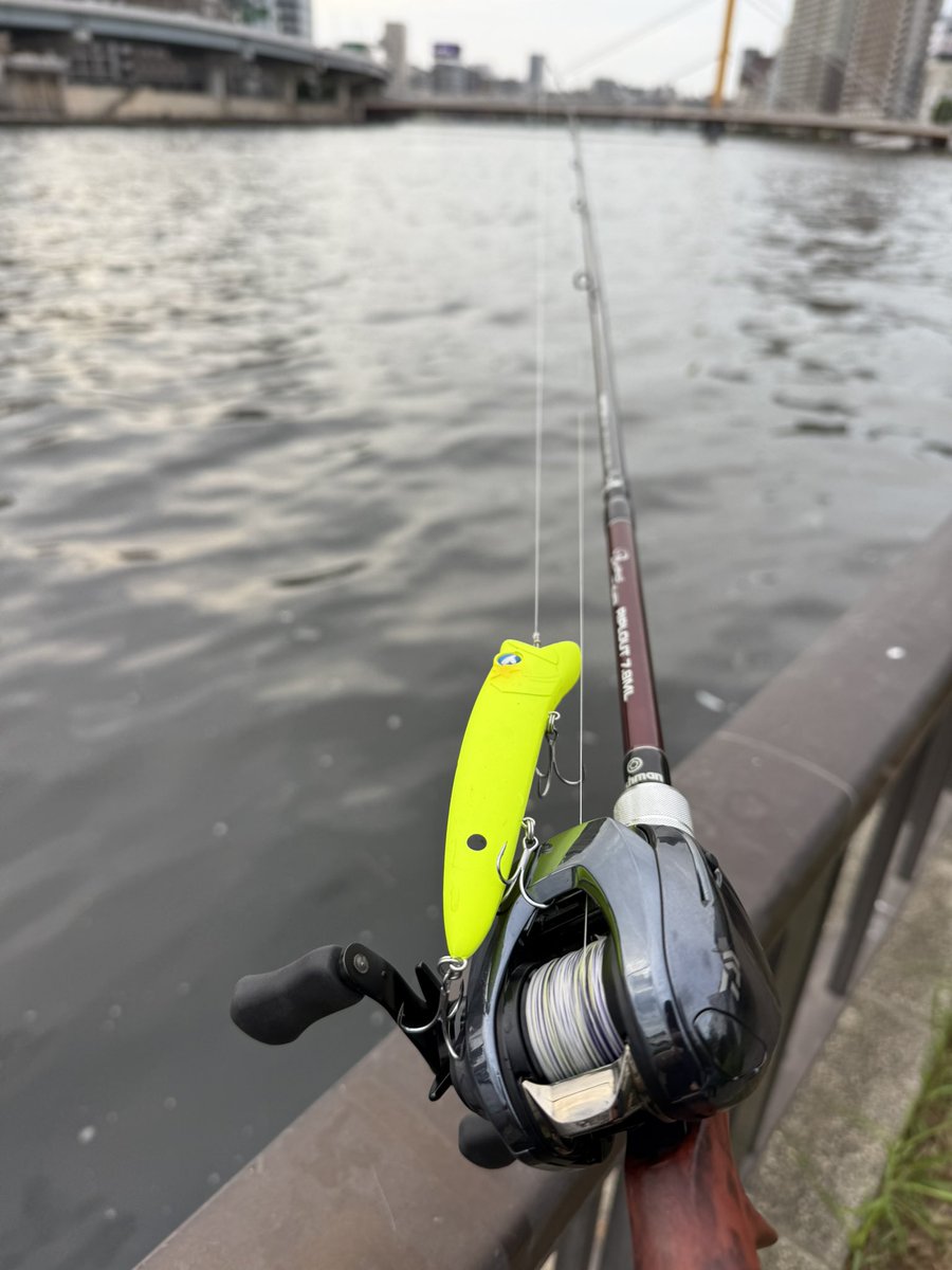 GONZO＠（hayaken) (@GONZOUDAIWA) / X