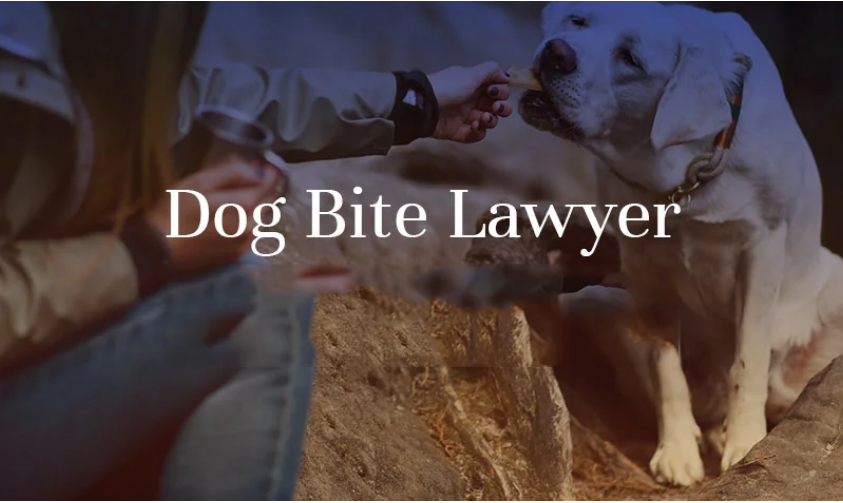 umgeeks_'s tweet photo. 🐾 Bitten by a dog due to a careless owner? You have the right to compensation. Dog bite lawyers guide you through legal action, hold negligent owners accountable. See More👇

#DogBiteLaw #LegalHelp #KnowYourRights 
https://t.co/VS69faWQyq https://t.co/sOEK5UivW8