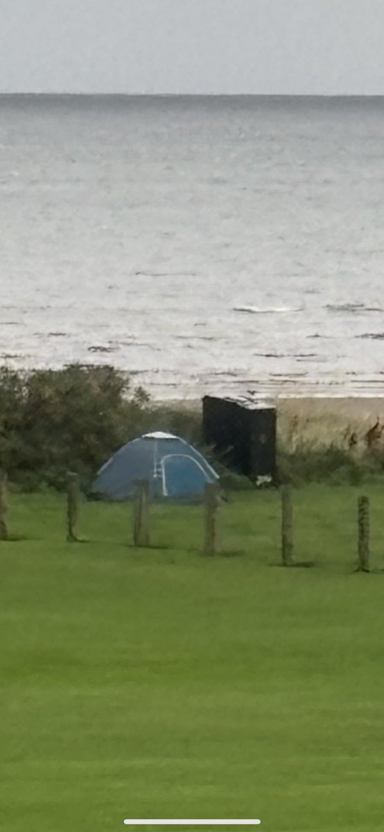 With Storm Amy due in a couple of hours, my entertainment for today will be watching this daft boy chasing his tent around the beach and possibly beyond 🤞