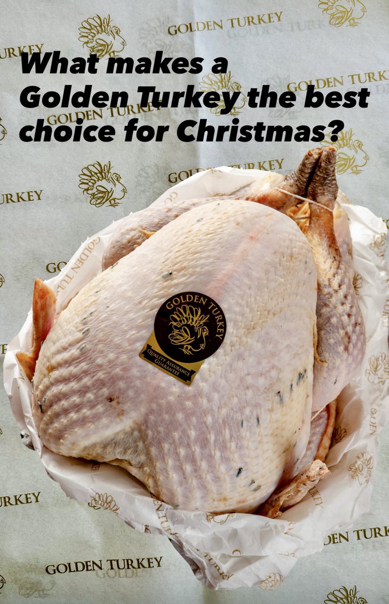 Golden Turkeys® tweet media