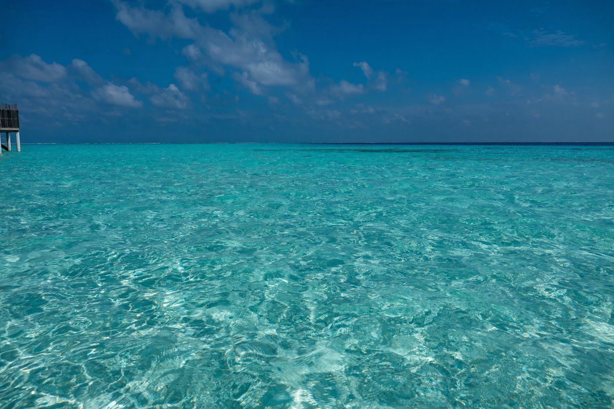 HWVlover's tweet image. The #view of my Maldivian lagoon from the Maldivian lagoon. Paradise.