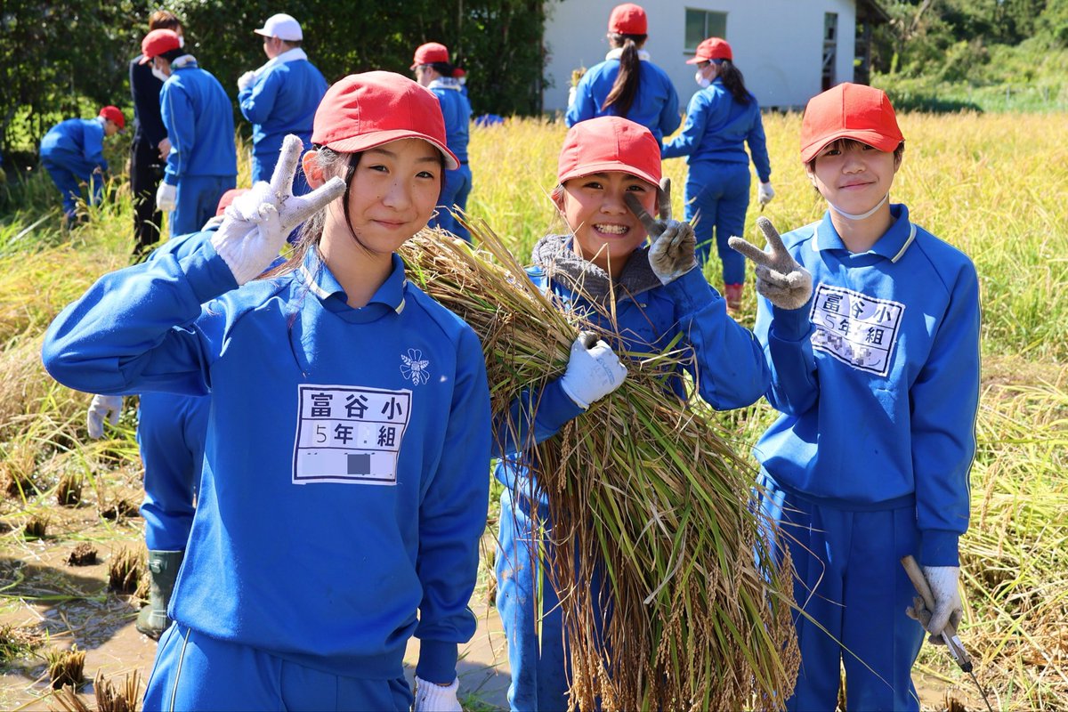 tomiyacity's tweet photo. ・
＼🌾みんなで稲刈り体験授業！！🌾／
 
10月3日、富谷小学校5年生が
授業の一環で稲刈り体験を行いました！
 
みんな一生懸命頑張ってましたよ～✨
美味しいお米になりますように！
 
#富谷小学校 #5年生 #稲刈り #秋 
#みんな #眩しい笑顔☺
#美味しい #お米に #なりますように✨ https://t.co/ZftdaWyv3e