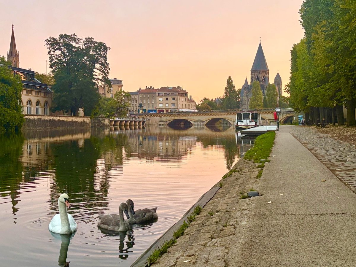 GrosdidierMetz's tweet image. ‼️🦢 Promenade matinale dans la plus belle ville de France !

#metz #moselle #laplusbelle