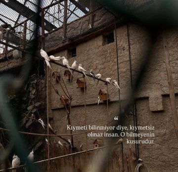 Hayırlı cumalar 🧚🏻‍♀️