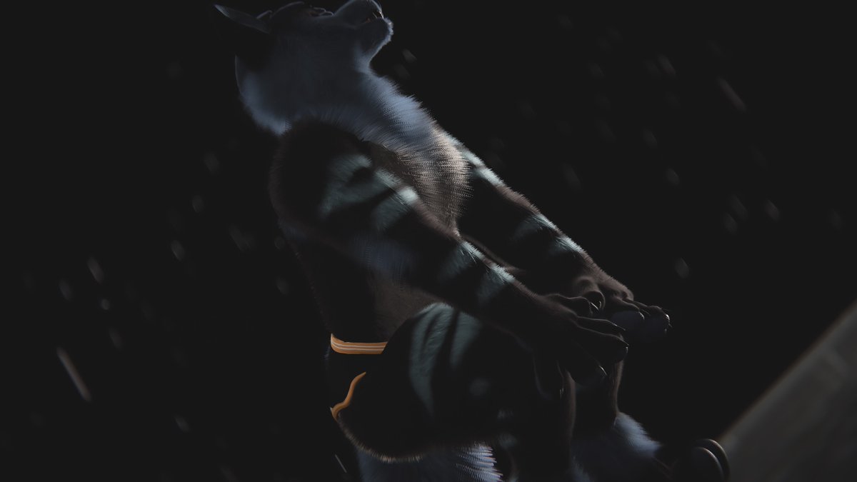Matte_Wolf's tweet photo. Borkanine finally gets an update!
MMD video will be posted later. :3
#RustWhisker https://t.co/P8wuKAGMyr