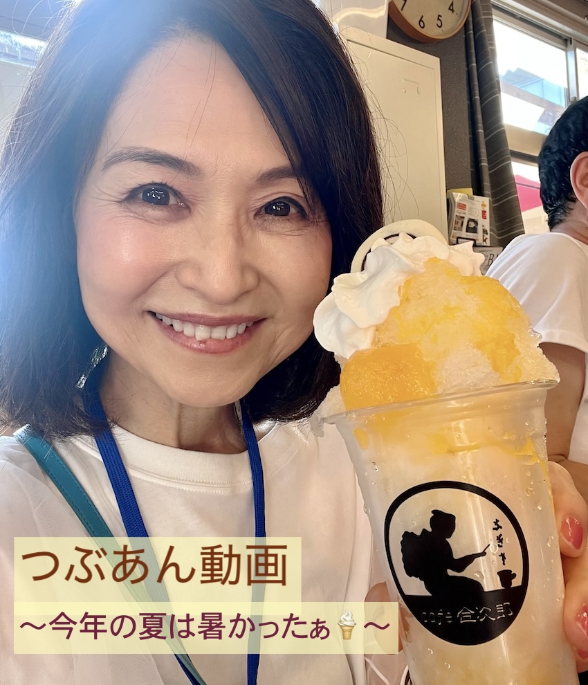 辛島美登里　8cmシングル　28枚　ファンクラブ限定含む 辛島美登里 8cmシングル 28枚 ファンクラブ限定含む - メルカリ