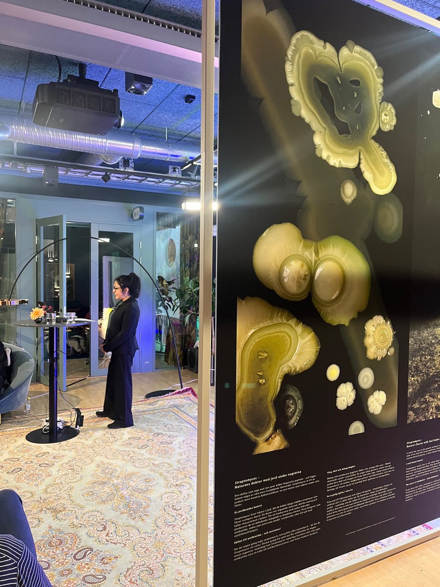 reactgroup's tweet image. ✨ ReAct’s Maria Pränting & Therese Holm joined the opening of Rethink Bacteria – a SciArt exhibition where science meets art!
🖼️ The magical photos by artist Gabriela Torres Ruiz were presented in a warm and welcoming setting, accompanied by enlightening talks:
🎤 Your inner…
