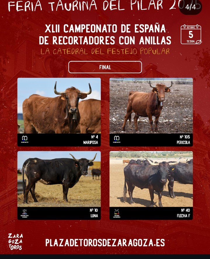 Seguimos con los engaños de la empresa de Zaragoza. 
Anuncian las supuestas vacas de las anillas a 48 horas del festejo cuando las saben hace meses. Pero lo gordo es que estas no son las de la final. Ni una pizca de afición ni profesionalidad.