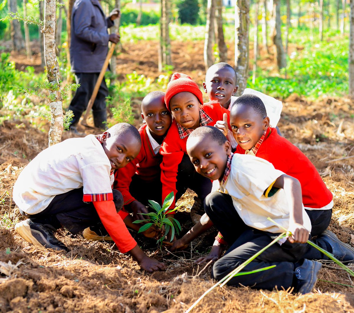 Delugees 🌱🇰🇪🌳 tweet media