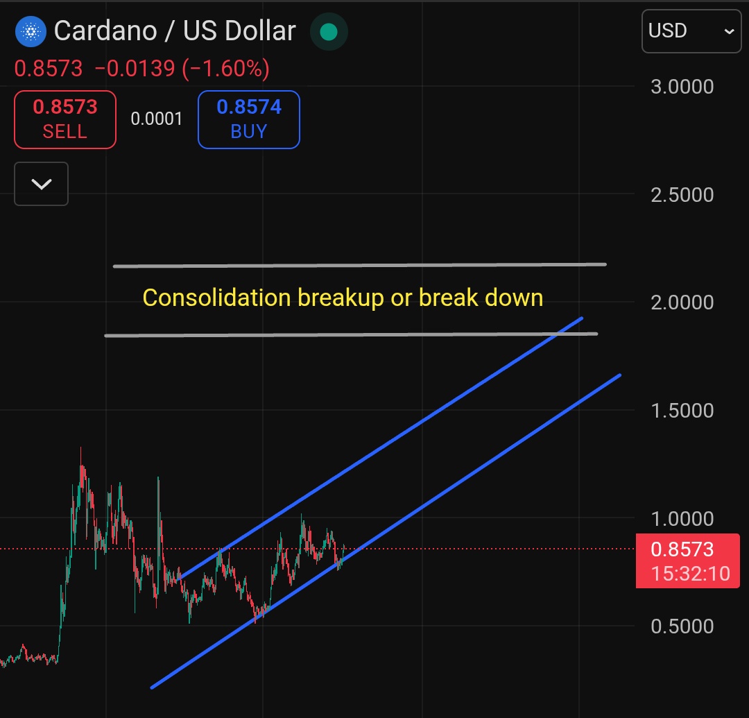 ADA / USDT : Last time I called ADA at 0.3$ and it hit past 1.4$. Am  calling ADA here again. Adding a lot to my spot bag as we speak. This