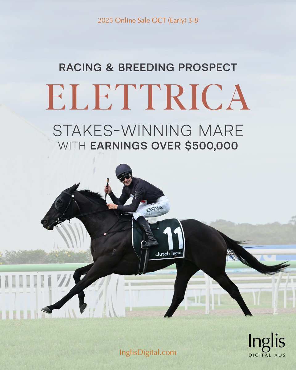 inglis_sales's tweet photo. Stakes-winning mare ELETTRICA is an attractive racing and breeding prospect in the current #InglisDigital Online Sale. She boasts 6 career wins and earnings in excess of $500k. View her listing here: https://t.co/llsFPeYP91 https://t.co/ZFNy8oIm4d