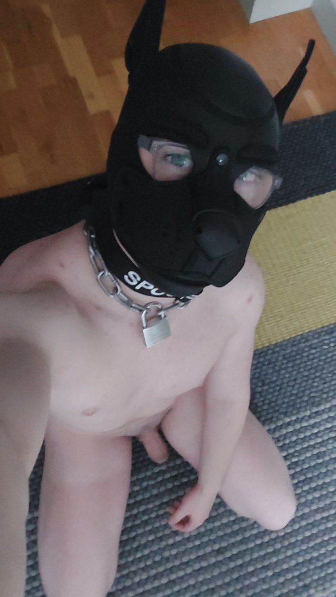 BARK! Can I just say I have the absolute best puppy :3 and he's such a good fucking boy :3 and ya'll should definitely try his throat 👀👀 <a href="/DogBoiSpoof/">SP👀F</a>