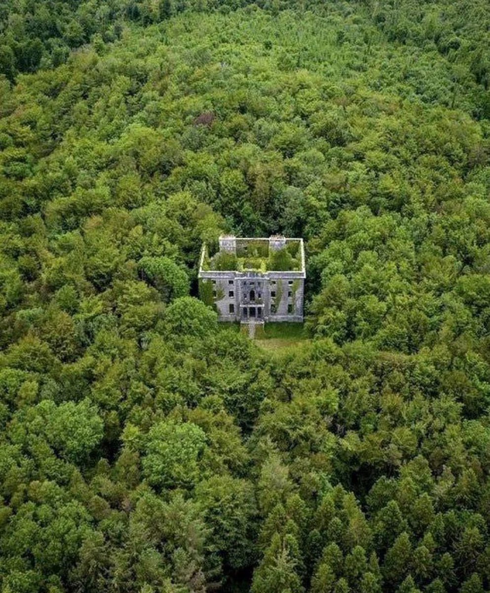 Deserted tweet media