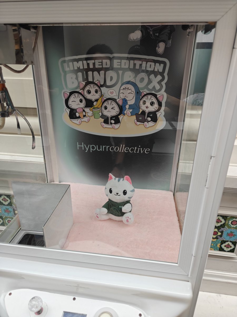 shuri.hl tweet media