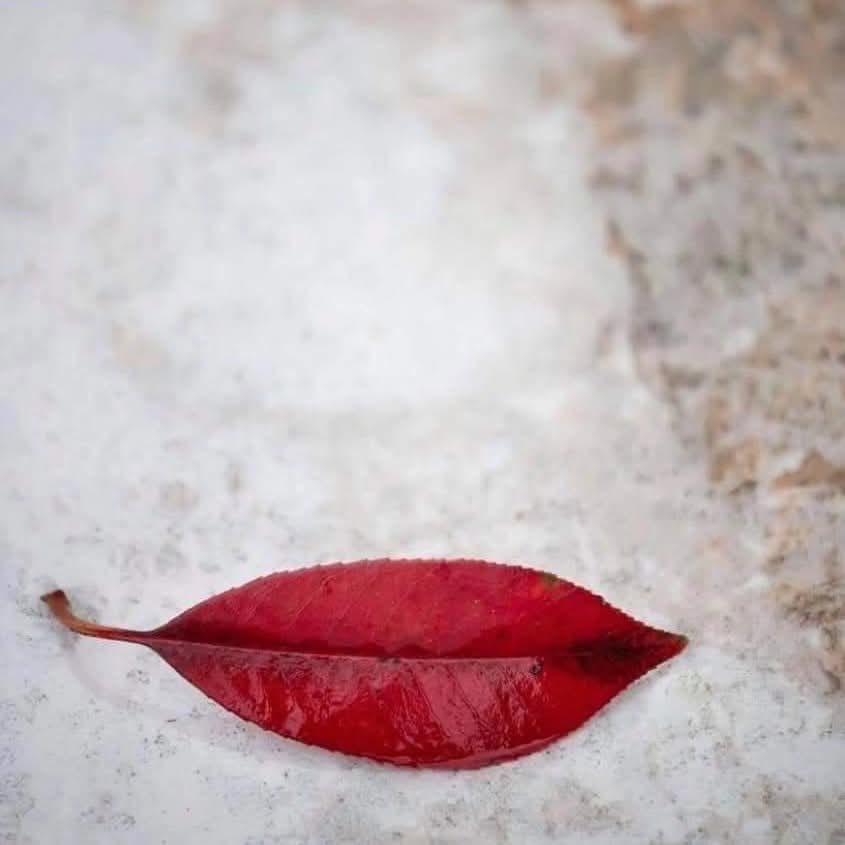 Maria K (@mriaksm) on Twitter photo 