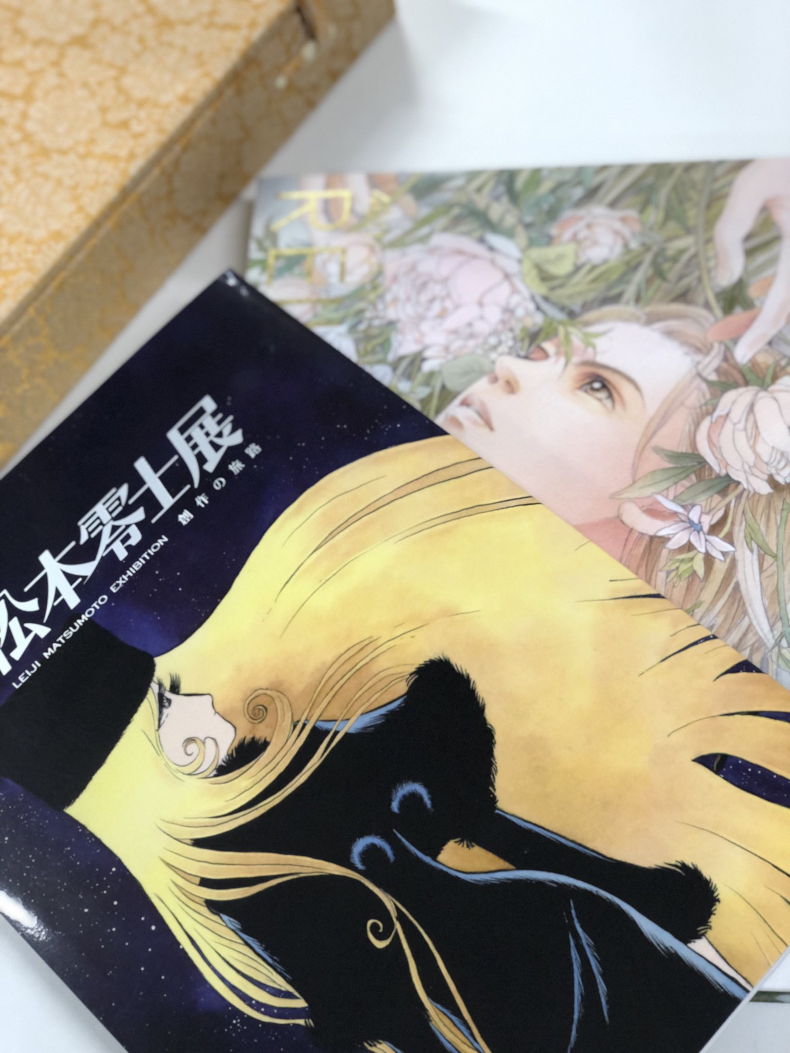 The Nature of Order（原文） 2冊セット The Nature of Order（原文） 2冊セット The Nature of Order