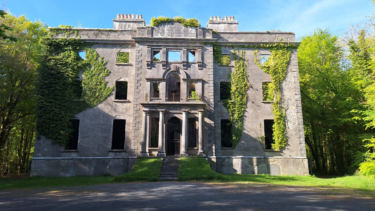 🌱An Organic Irish Garden🌱 tweet media