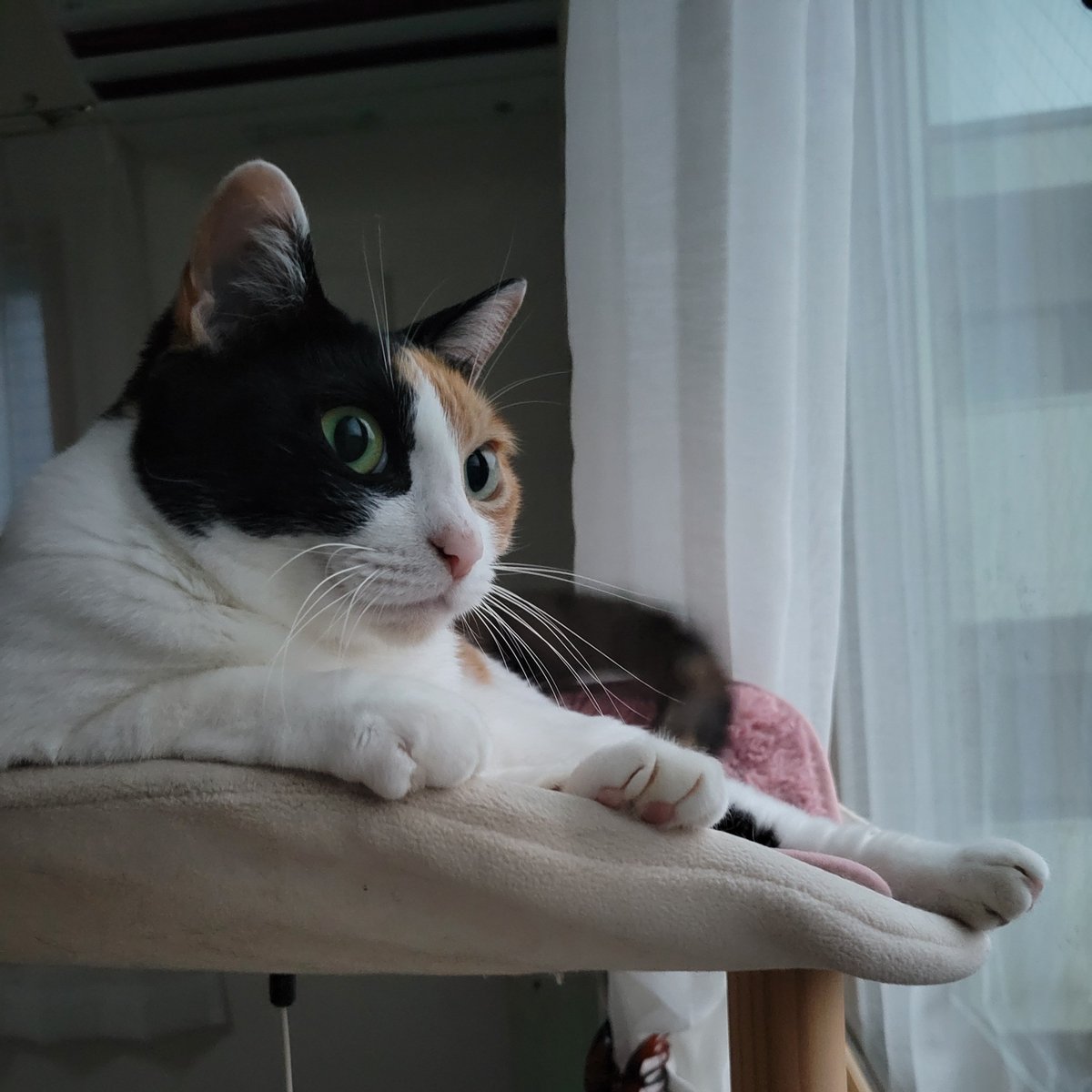 もう日が暮れちゃった