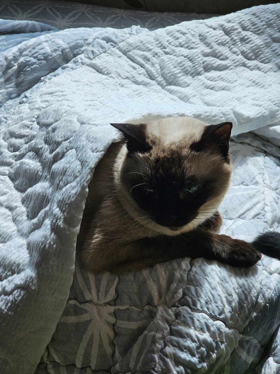 신곤 (@gorngorncha) on Twitter photo 