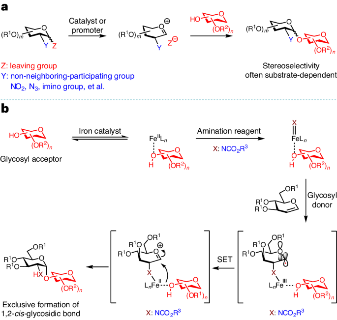 NatureProtocols's tweet image. New Article! Iron-catalyzed stereoselective glycosylation for 1,2-cis-aminoglycoside assembly bit.ly/3WhGWjk