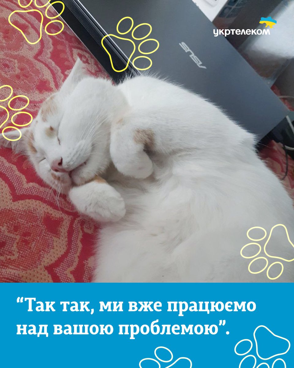 🐾 Кажуть, інтернет створили для людей. Але ми точно знаємо: він існує, щоб дивитися котиків і песиків 🐶🐱.
Бо хто ще так майстерно вміє викликати посмішку на нашому обличчі 😉

Тваринки — справжні антидепресанти без рецепта.